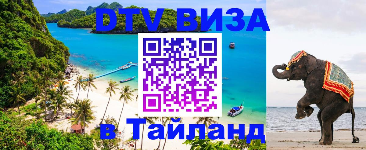 Сколько стоит DTV виза — актуальные цены, оформление даже без документов - Волжский  18.11.2025 